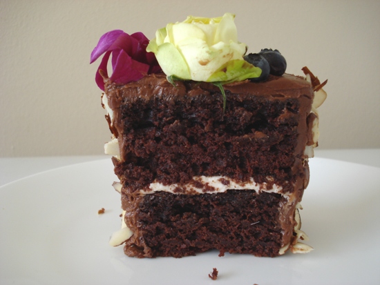 Chocolate Vanilla Berry Cake