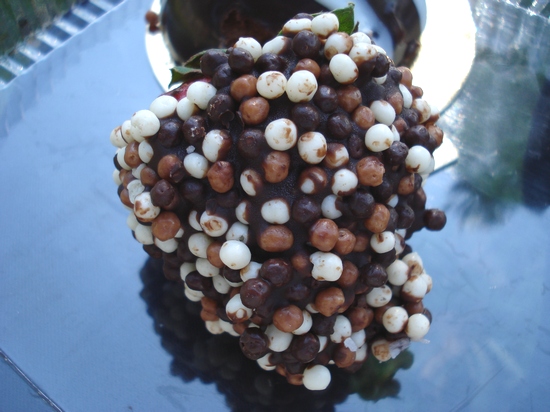 Chocolate balls-covered strawberry