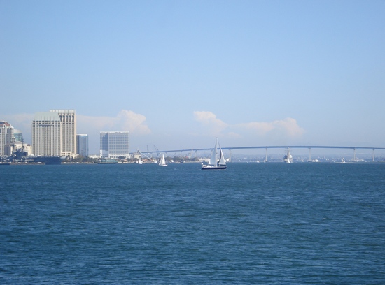 Downtown from Harbor Island