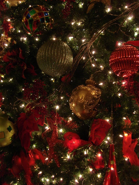 Peabody Christmas Tree