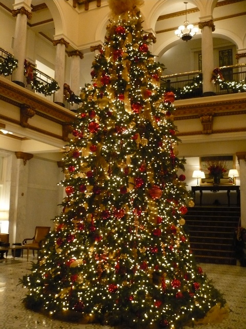 Capital Hotel's Christmas tree