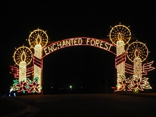 Sherwood's Enchanted Forest
